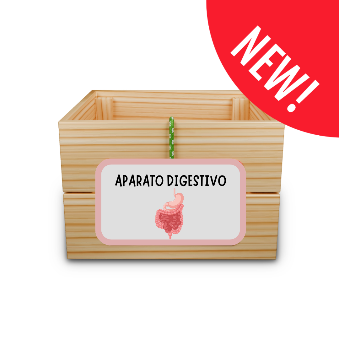 Caja de aprendizaje: APARATO DIGESTIVO